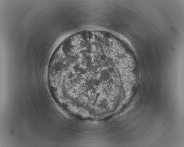 X0000112801231200910021113