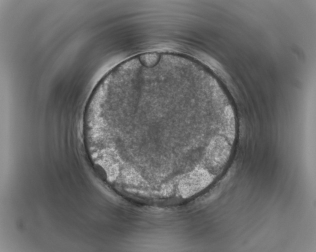X0000112801234200910021113
