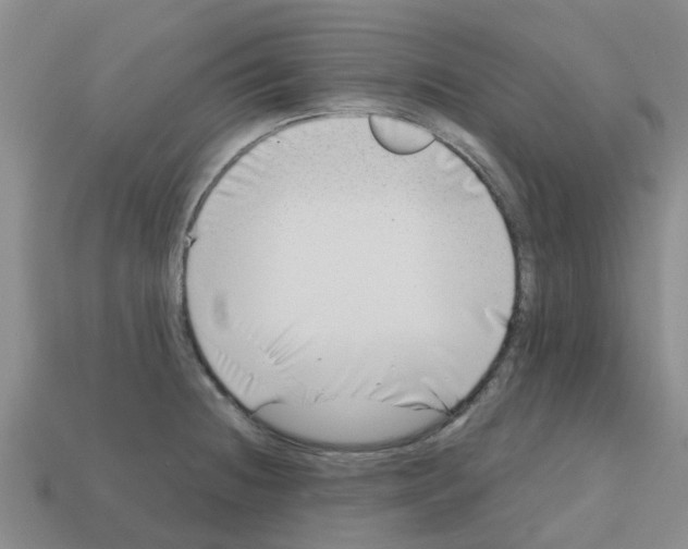 X0000112801236200910021113