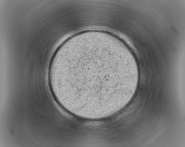 X0000112801237200910021113