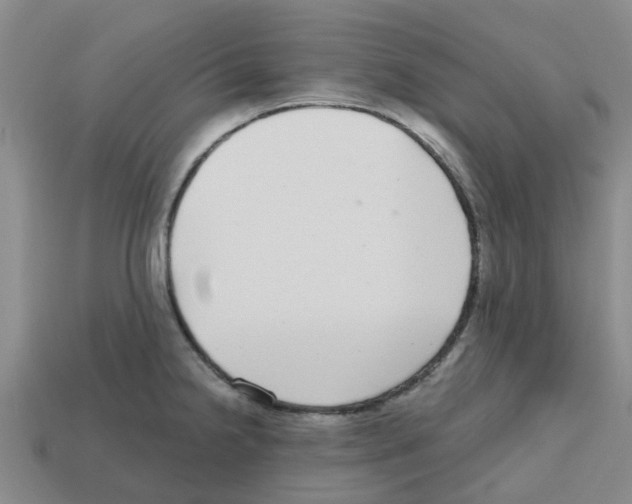 X0000112801238200910021113