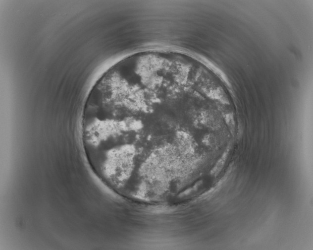 X0000112801239200910021113