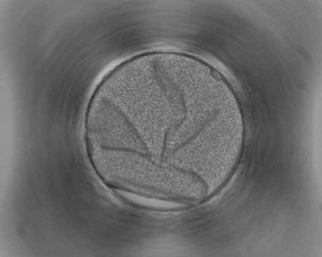 X0000112801240200910021113