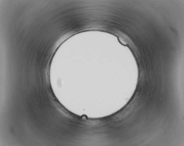 X0000112801242200910021113