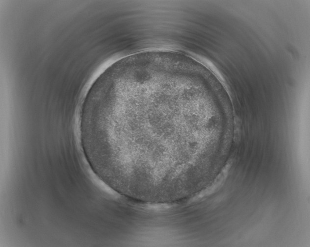 X0000112801243200910021113
