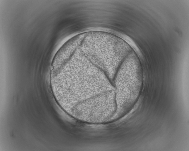 X0000112801244200910021113