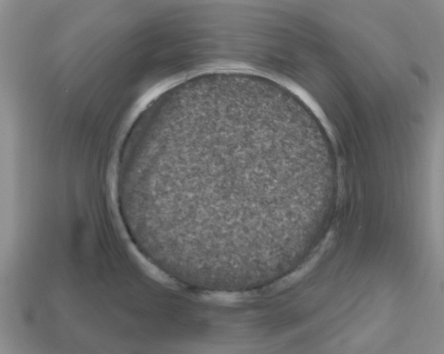 X0000112801245200910021113