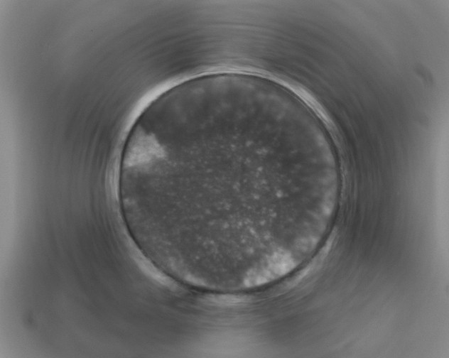 X0000112801246200910021113