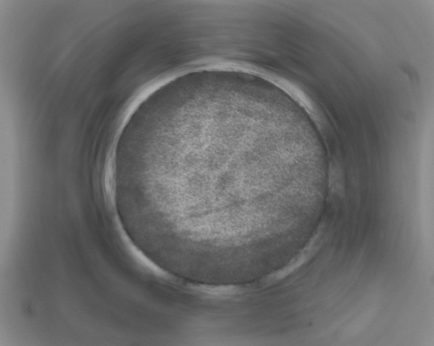 X0000112801247200910021113