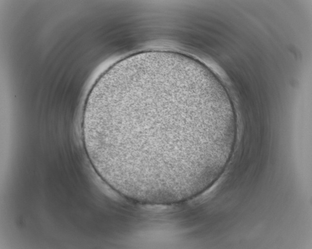 X0000112801248200910021114
