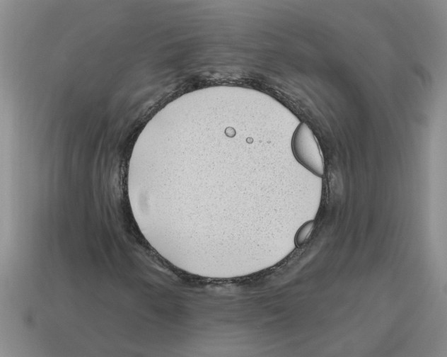 X0000112801250200910021113