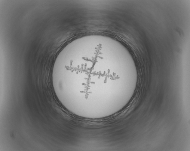 X0000112801252200910021113