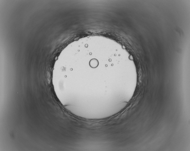 X0000112801253200910021113