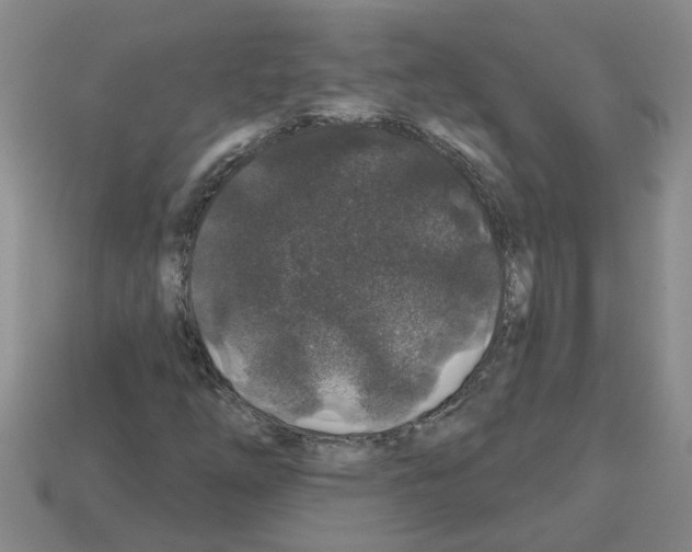 X0000112801254200910021113