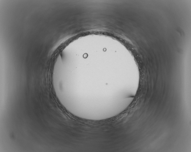 X0000112801255200910021113