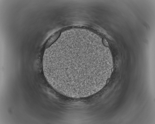 X0000112801256200910021113
