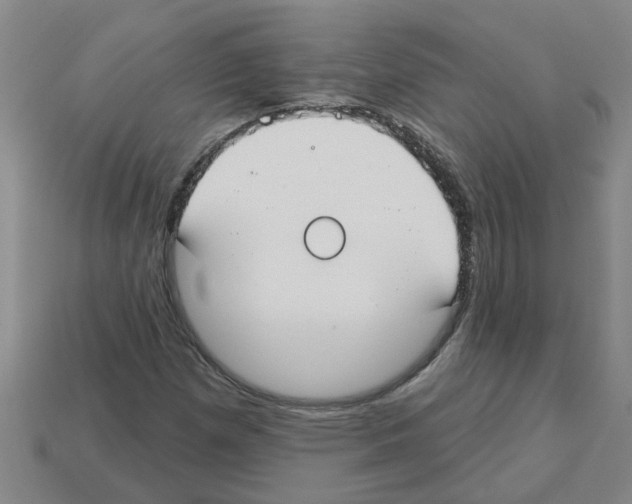 X0000112801257200910021113