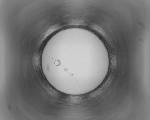 X0000112801258200910021113