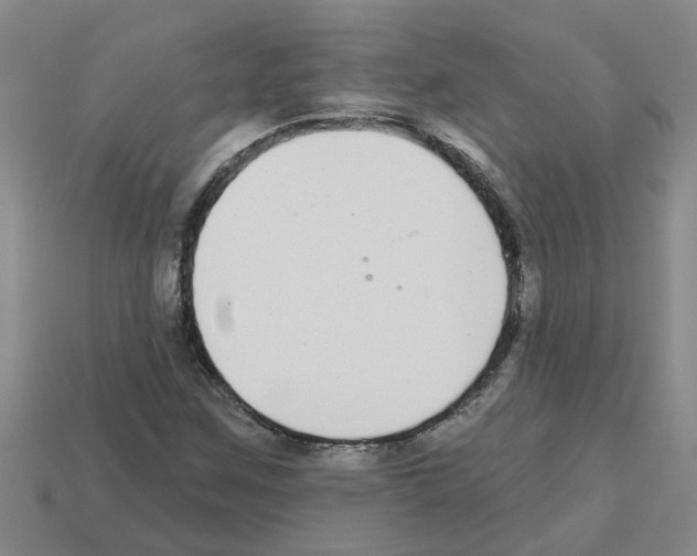 X0000112801259200910021113