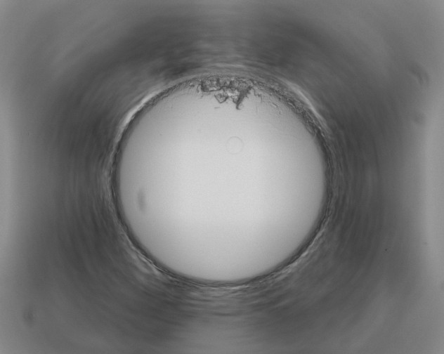 X0000112801260200910021113