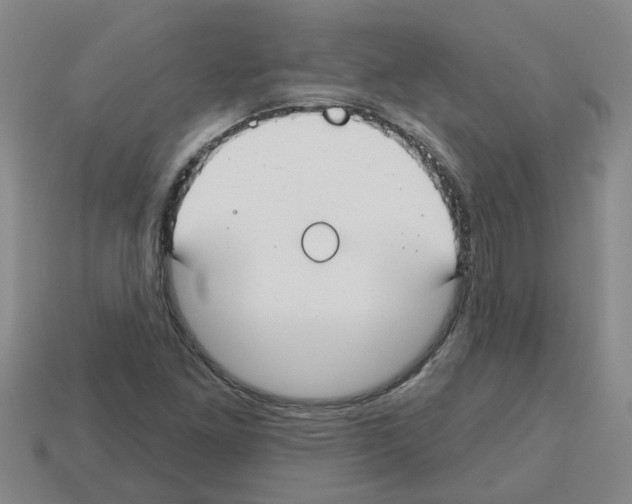 X0000112801261200910021113