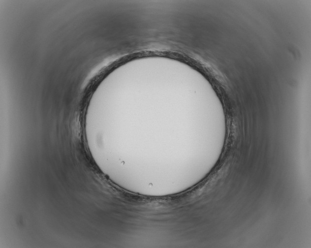 X0000112801262200910021113