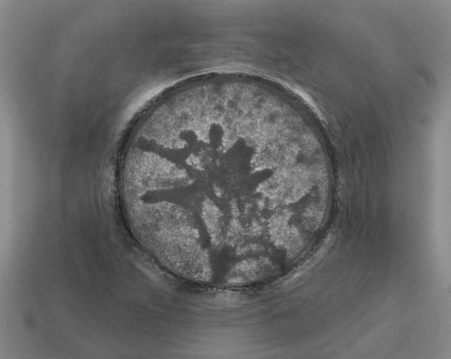X0000112801263200910021113