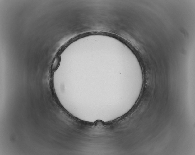 X0000112801264200910021113