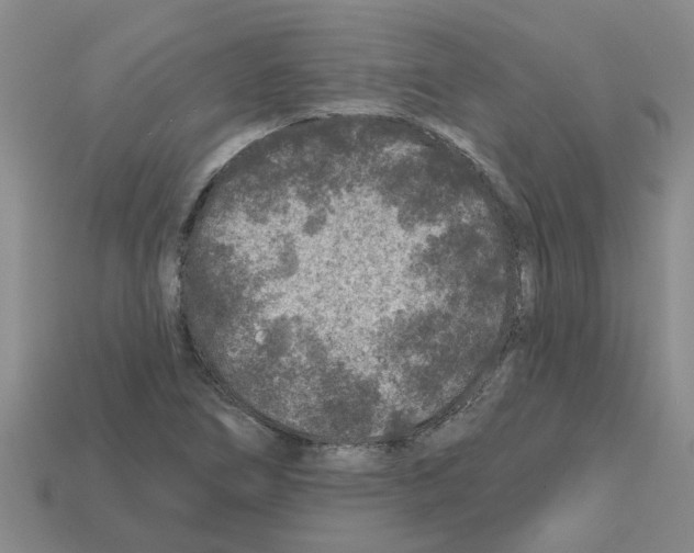 X0000112801266200910021113