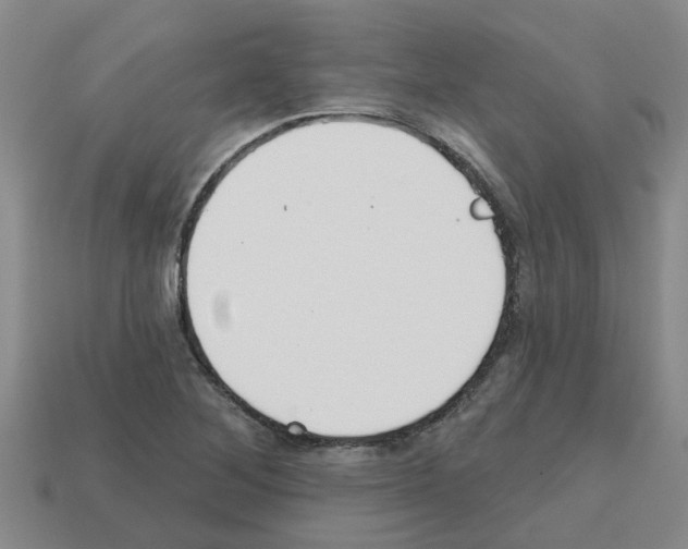 X0000112801268200910021113