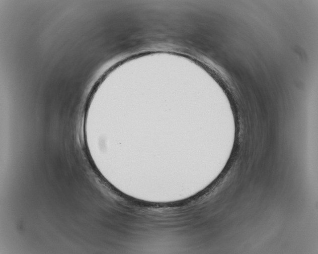 X0000112801272200910021113