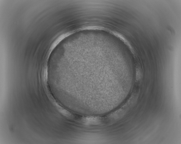 X0000112801274200910021113