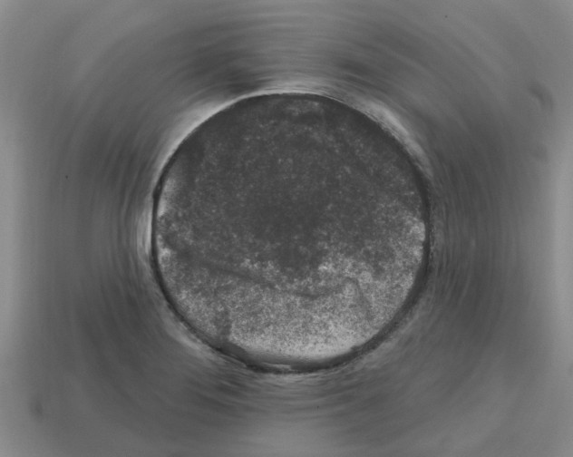 X0000112801276200910021113