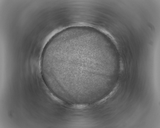 X0000112801278200910021113