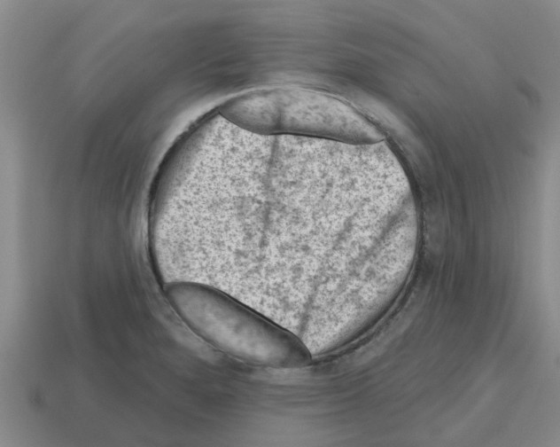X0000112801280200910021112