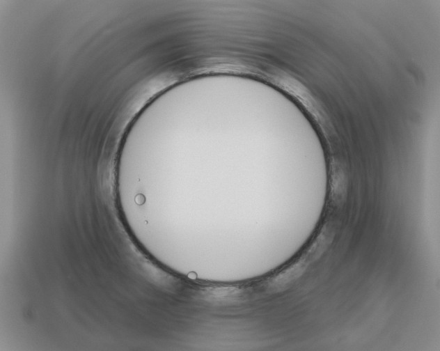 X0000112801282200910021112