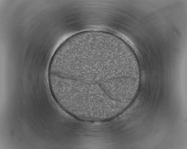 X0000112801283200910021112
