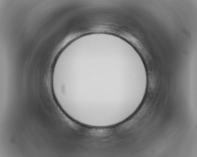 X0000112801286200910021112