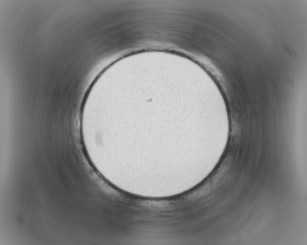 X0000112801287200910021112