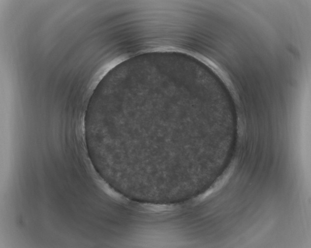 X0000112801289200910021112