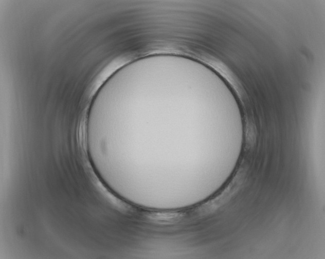 X0000112801290200910021112