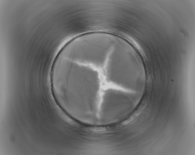 X0000112801291200910021112