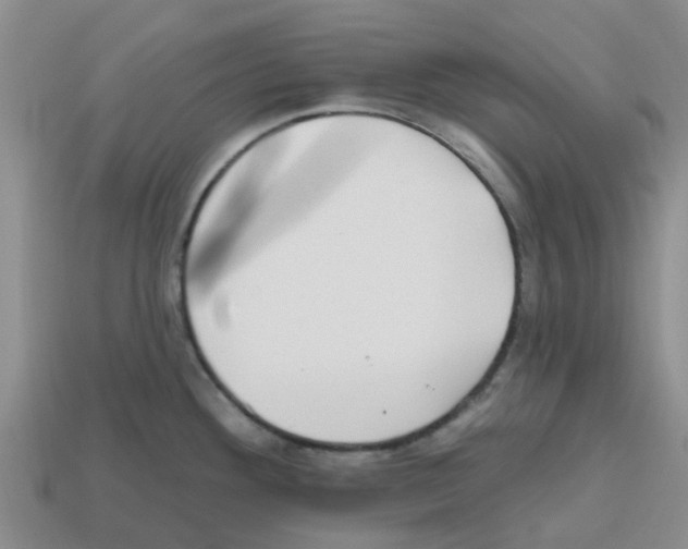 X0000112801292200910021112