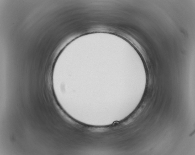 X0000112801293200910021112
