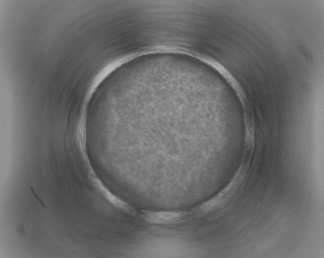 X0000112801294200910021112