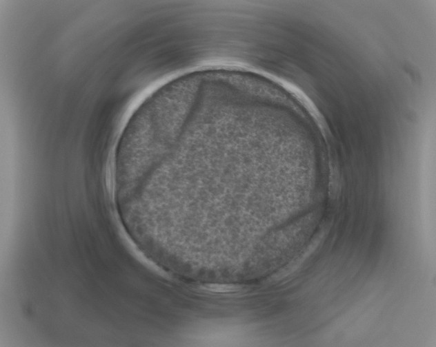 X0000112801295200910021112