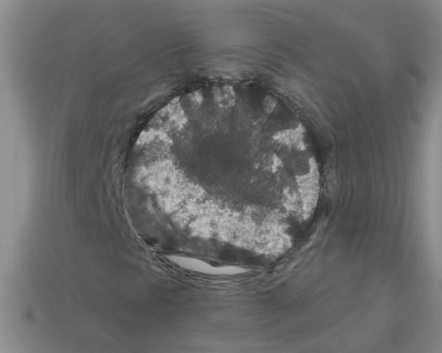X0000112801297200910021112