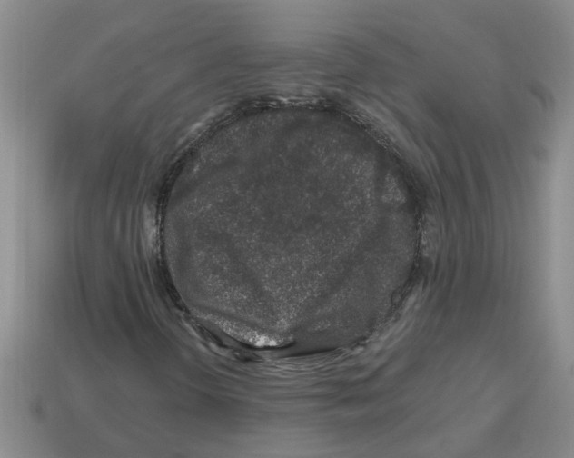 X0000112801298200910021112