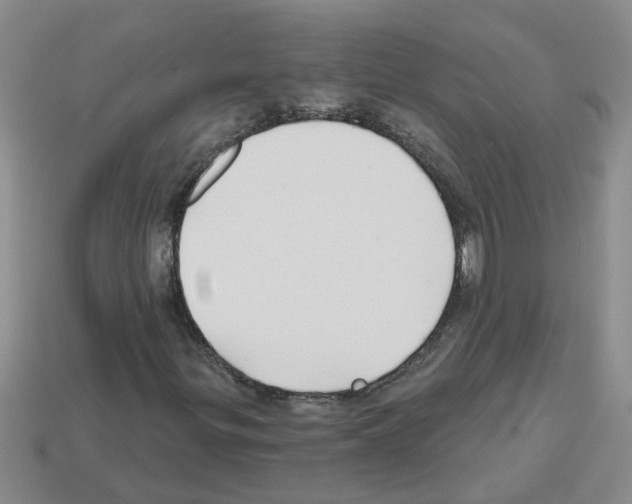 X0000112801299200910021112