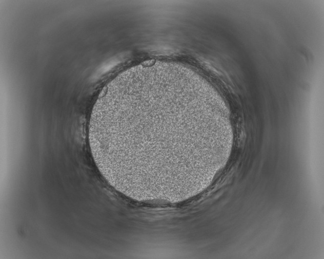 X0000112801301200910021112